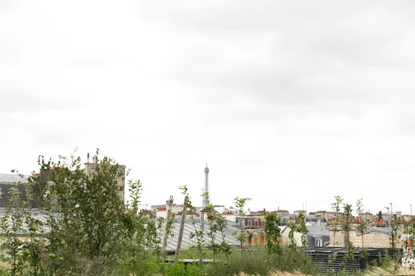 Image du portfolio