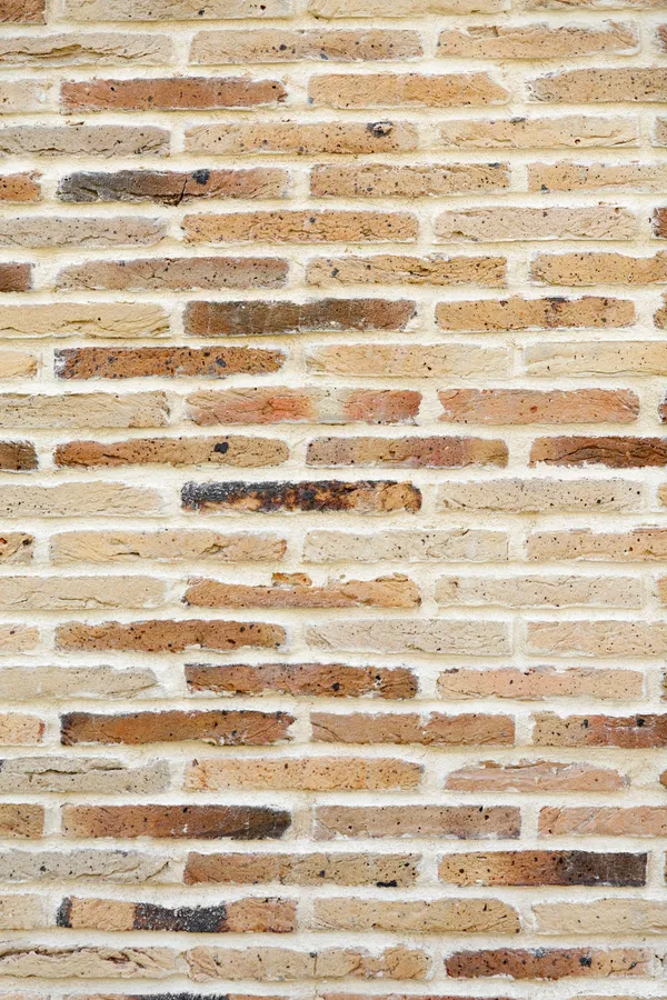 Image du portfolio