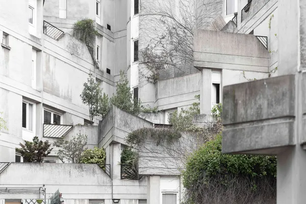 Image du portfolio