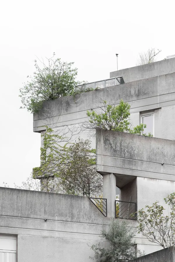 Image du portfolio