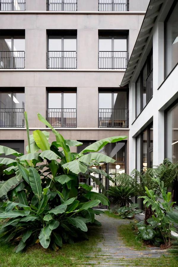 Image du portfolio
