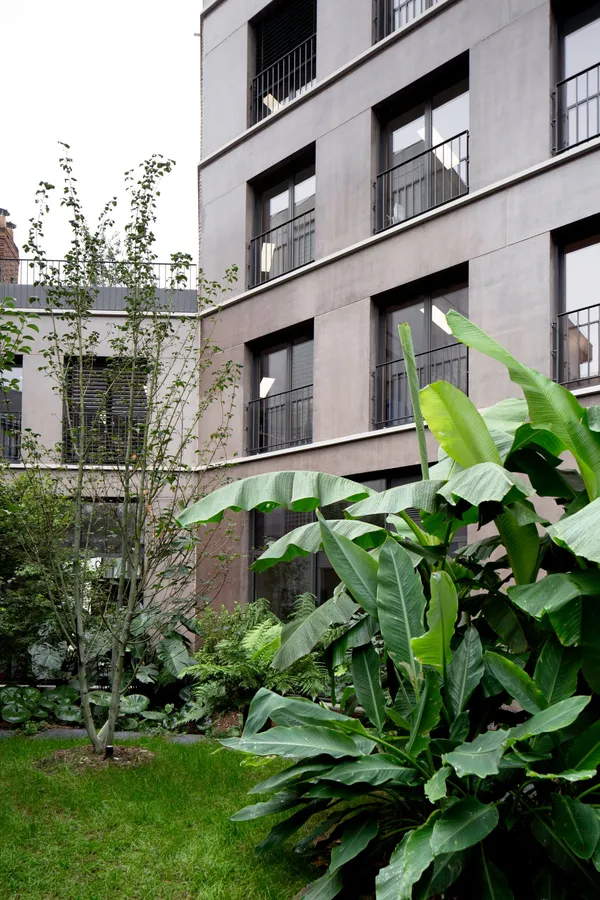 Image du portfolio
