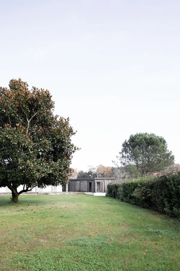 Image du portfolio