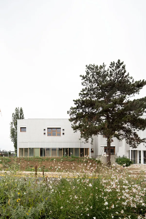 Image du portfolio